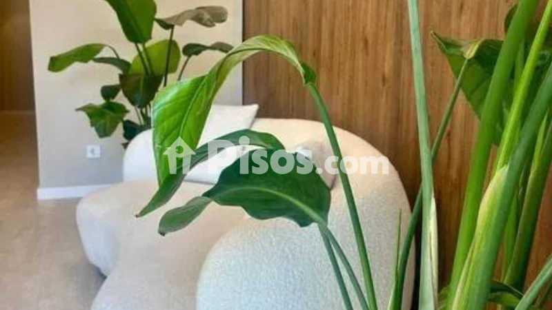 Apartment in Cornellà de Llobregat - Vista 3