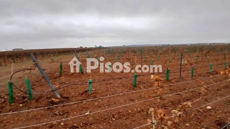Terreno en venta en Villarrobledo