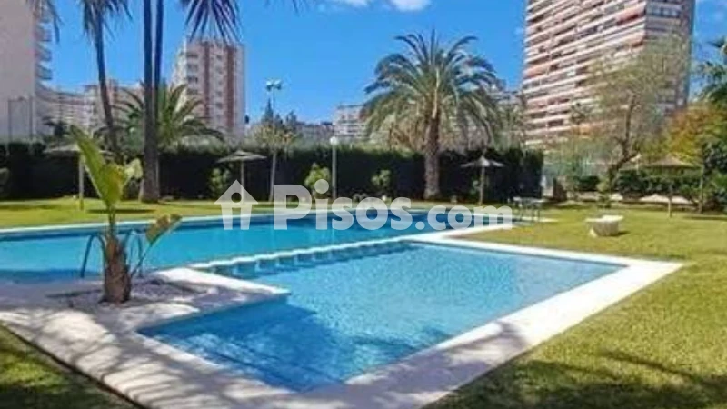 Pis – Alicante - Alacant
