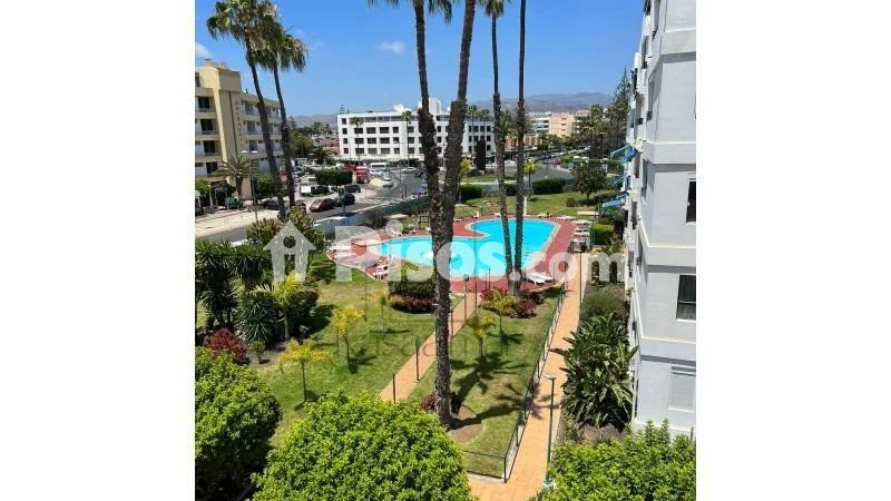 Fotografía del inmueble reportado: 1.300 €/mes — Las Palmas, Las Palmas