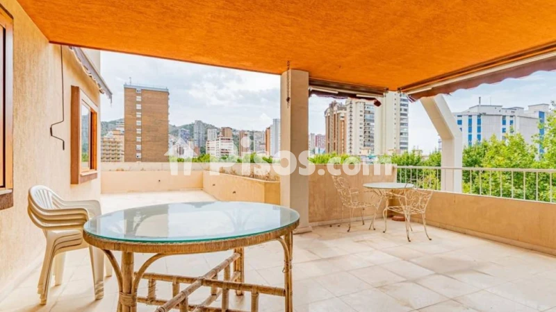 Pis – Benidorm