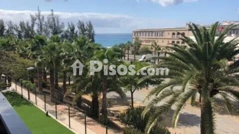Fotografía del inmueble reportado: 1.200 €/mes — Las Palmas, Las Palmas