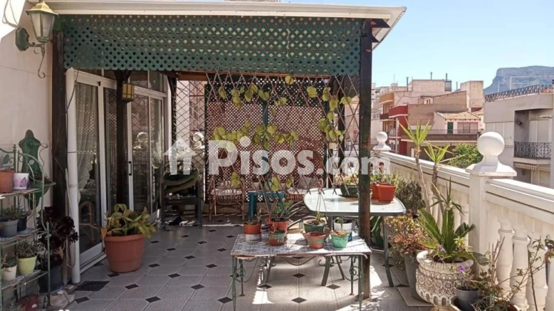 Casa – Elda, Fraternidad