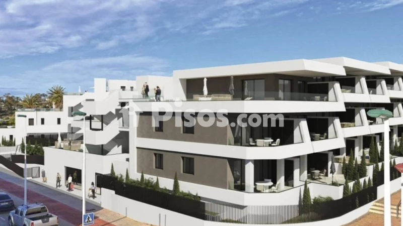 Pis – Elx - Elche