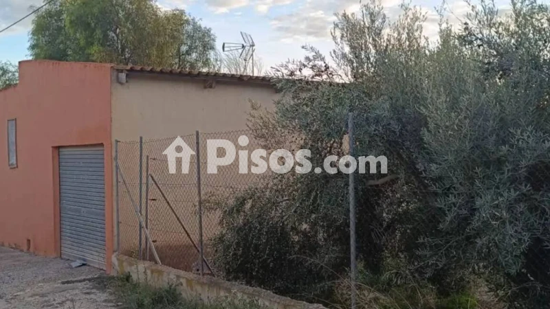 Piso – Elx / Elche, el Baix Vinalopó