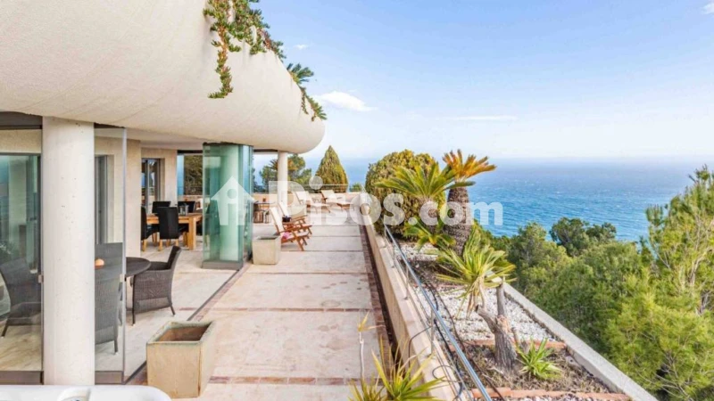 Pis – Altea