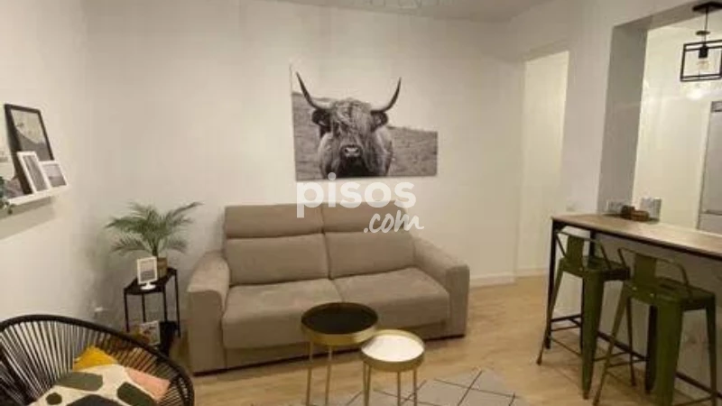 Piso en alquiler en Río Rosas