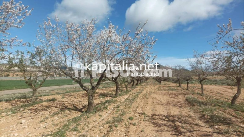 Terreno en venta en Villena
