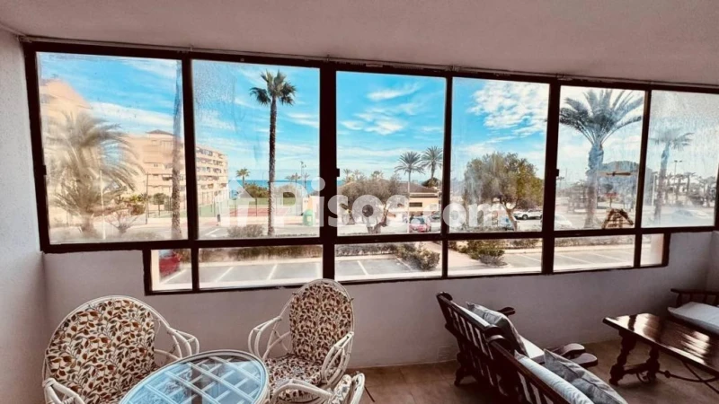 Pis – Torrevieja