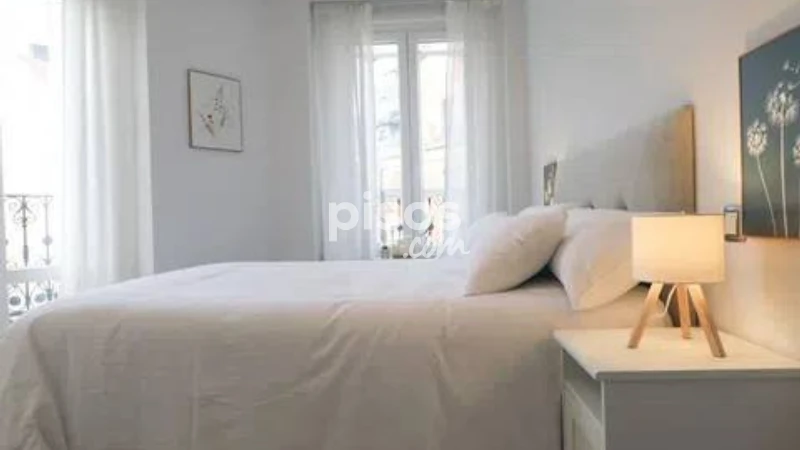 Piso en alquiler en Embajadores-Lavapiés