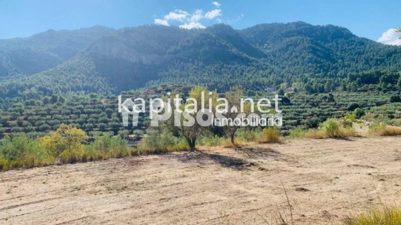 Terreno en venta en Alfafara