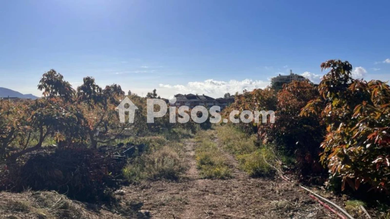 Terreno en venta en Polop