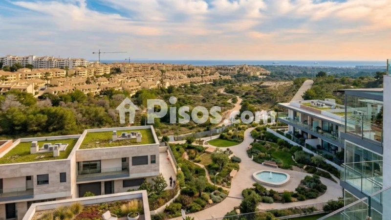 Piso – Orihuela, Villa Martín