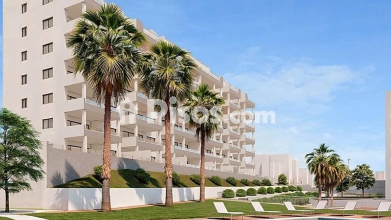 Apartment in San Miguel de Salinas