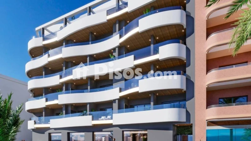 Pis – Torrevieja, El Palmeral
