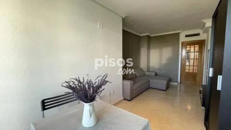 Piso en alquiler en Calle Avenida del Professor Lopez Pinero, 4