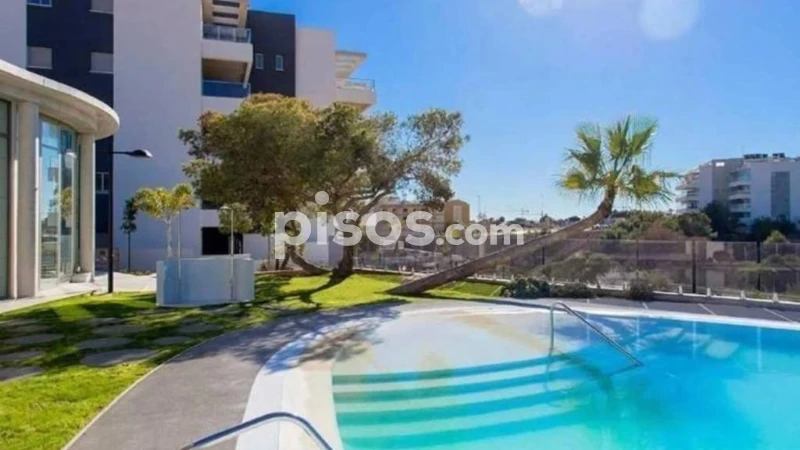 Piso en venta en Playa Flamenca Las - 1065 IJ2104 98361905 1 2025071509072659687 