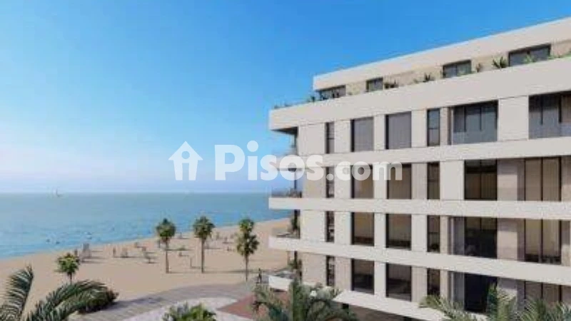 Pis – Torrevieja