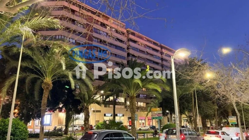 Pis – Alacant / Alicante, l'Eixample, l'Alacantí