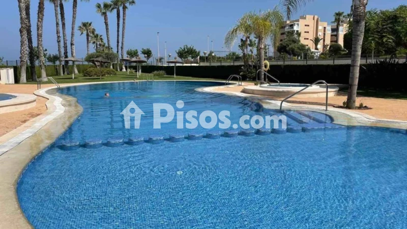 Piso – Orihuela, Mil Palmeras