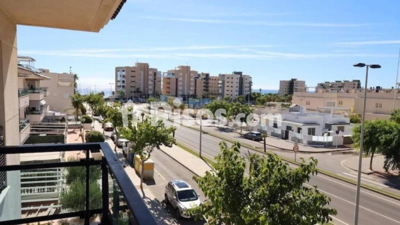 Piso – Orihuela, Mil Palmeras