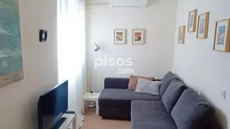 Piso en alquiler en Barrio de Salamanca