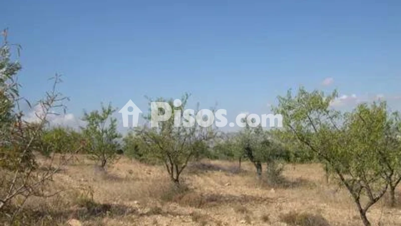 Terreno en venta en Calle Carr.Biar-Baneres Km. 5,5 No Number