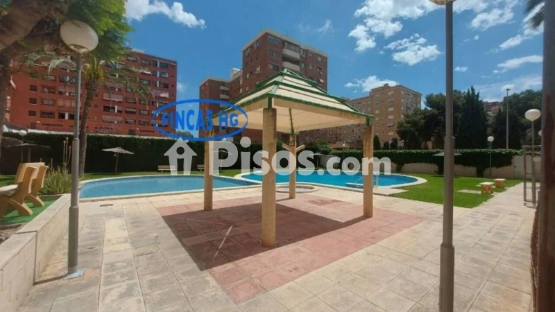 Pis – Elx / Elche, Portes Encarnades, el Baix Vinalopó