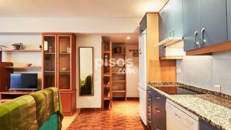 Piso en alquiler en Embajadores-Lavapiés