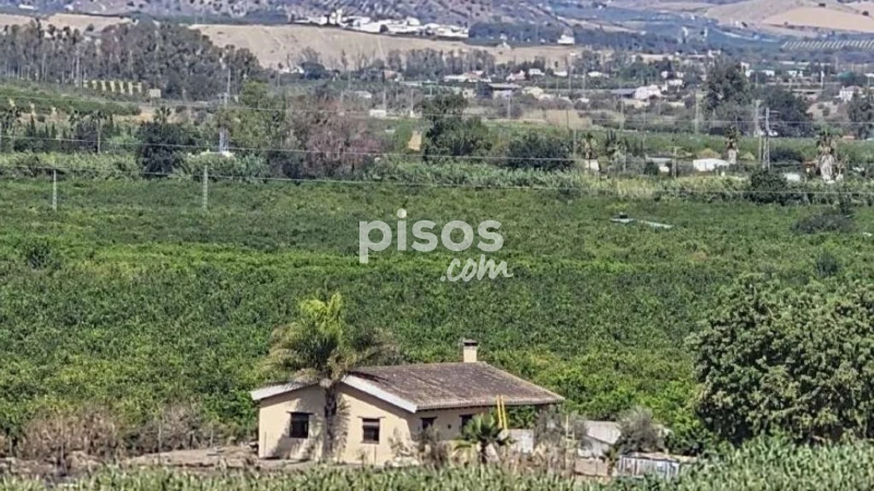 Terreno en alquiler en Cártama, Cártama de 1.500 €<span>/mes</span>