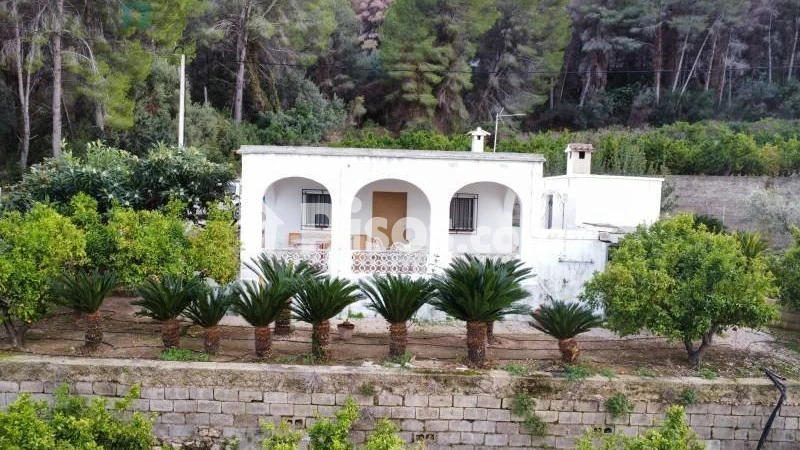 Piso – Pego, la Marina Alta