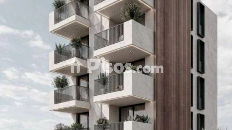 Pis – Santa Pola, el Baix Vinalopó