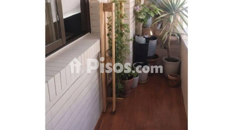 Piso – Albacete, La Pajarita