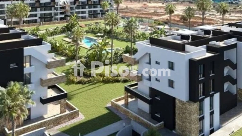 Pis – Torrevieja
