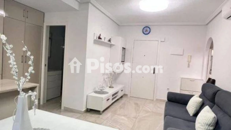 Pis – Torrevieja