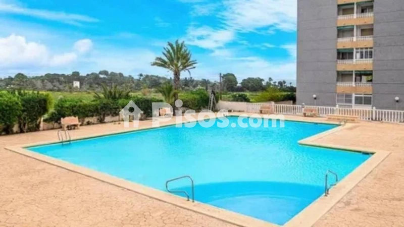 Pis – Torrevieja