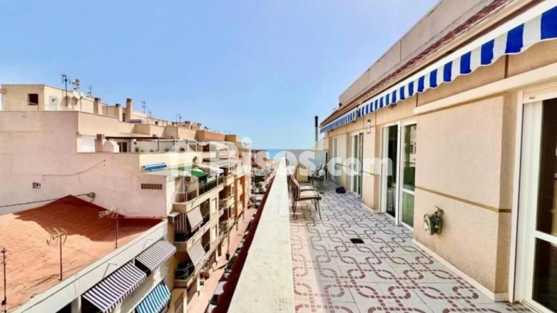 Pis – Torrevieja