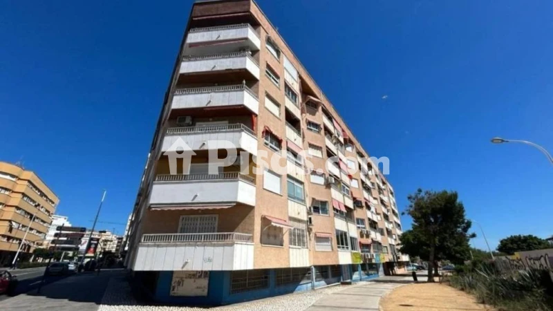 Pis – Torrevieja