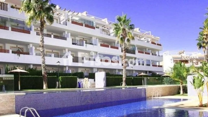 Pis – Orihuela