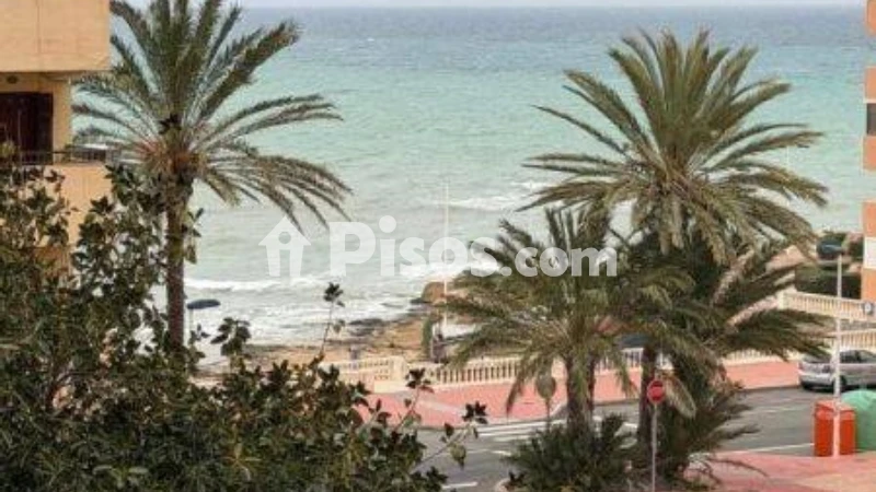 Pis – Torrevieja