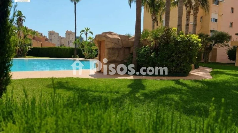 Fotografía del inmueble reportado: 1.500 €/mes — Alicante, Alicante