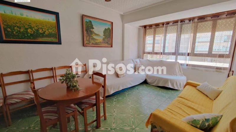 Pis – Alicante - Alacant