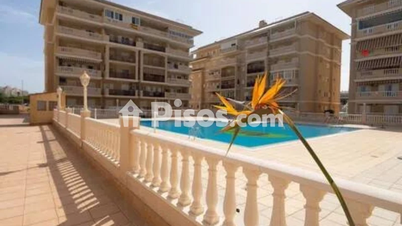 Pis – Torrevieja