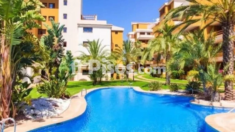 Pis – Torrevieja