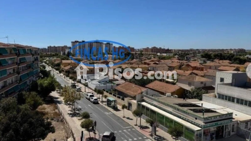 Pis – Alicante - Alacant