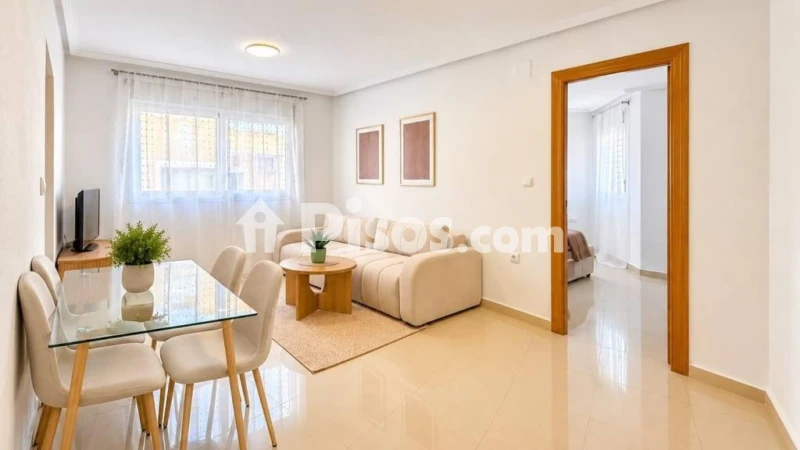 Pis – Torrevieja