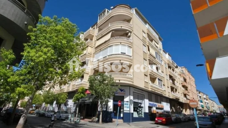 Pis – Torrevieja