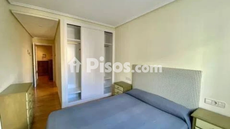 Piso en alquiler en Avenida de Hercules, cerca de Calle de Ramón del Cueto