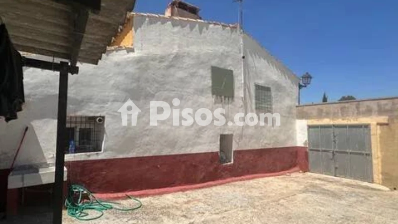 Pis – l'Alt Vinalopó / El Alto Vinalopó