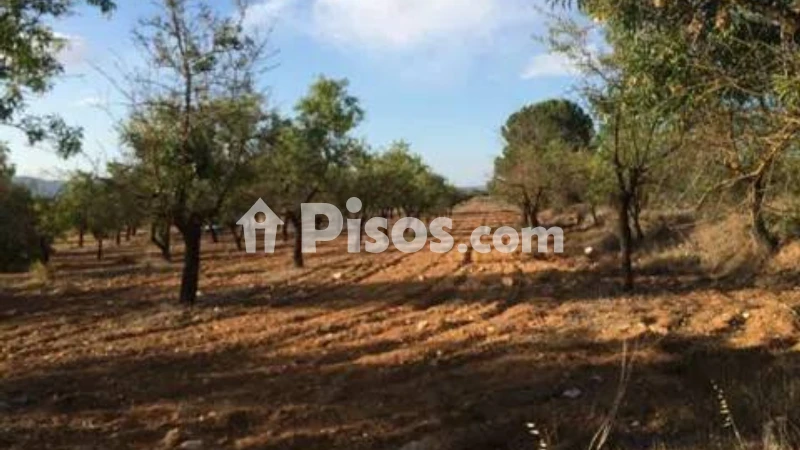 Terreno en venta en Biar